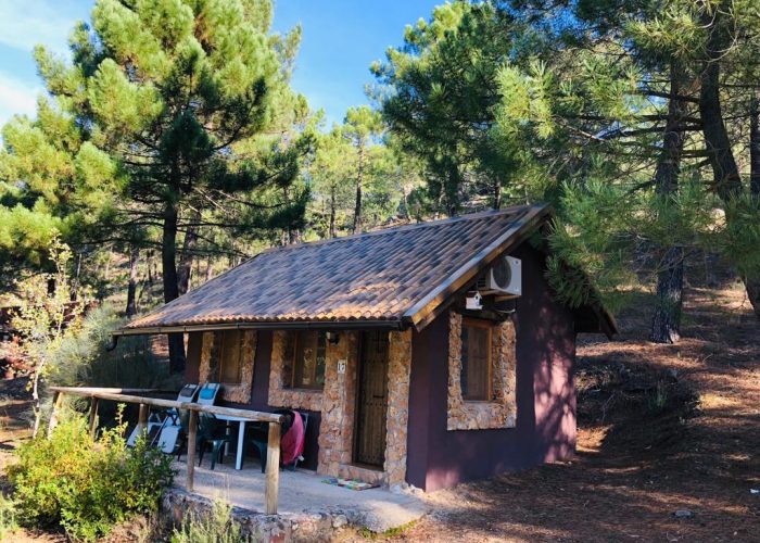 IMG-20190227-WA0015 IMG-20190227-WA0015