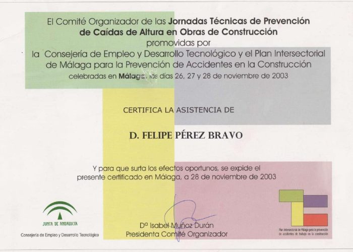 JornadasCaida de altura